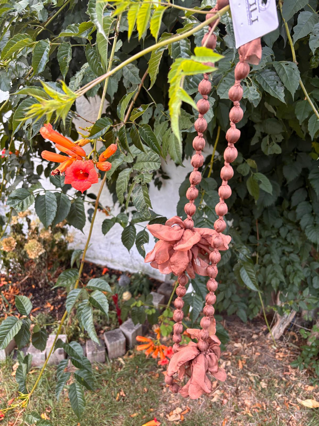 Blumenkette